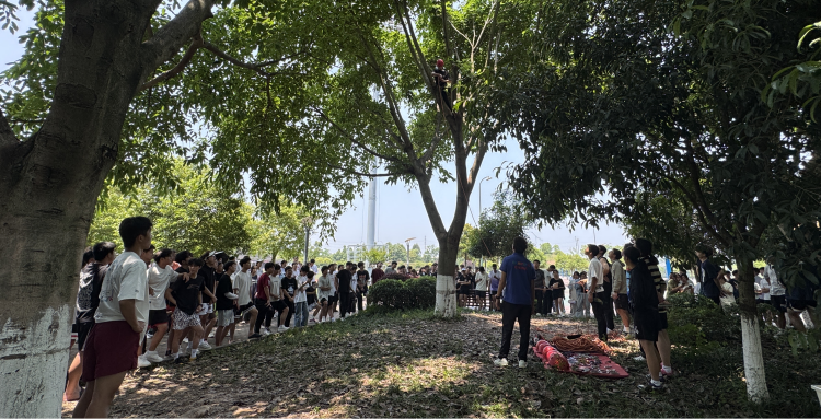 体院 (3).png